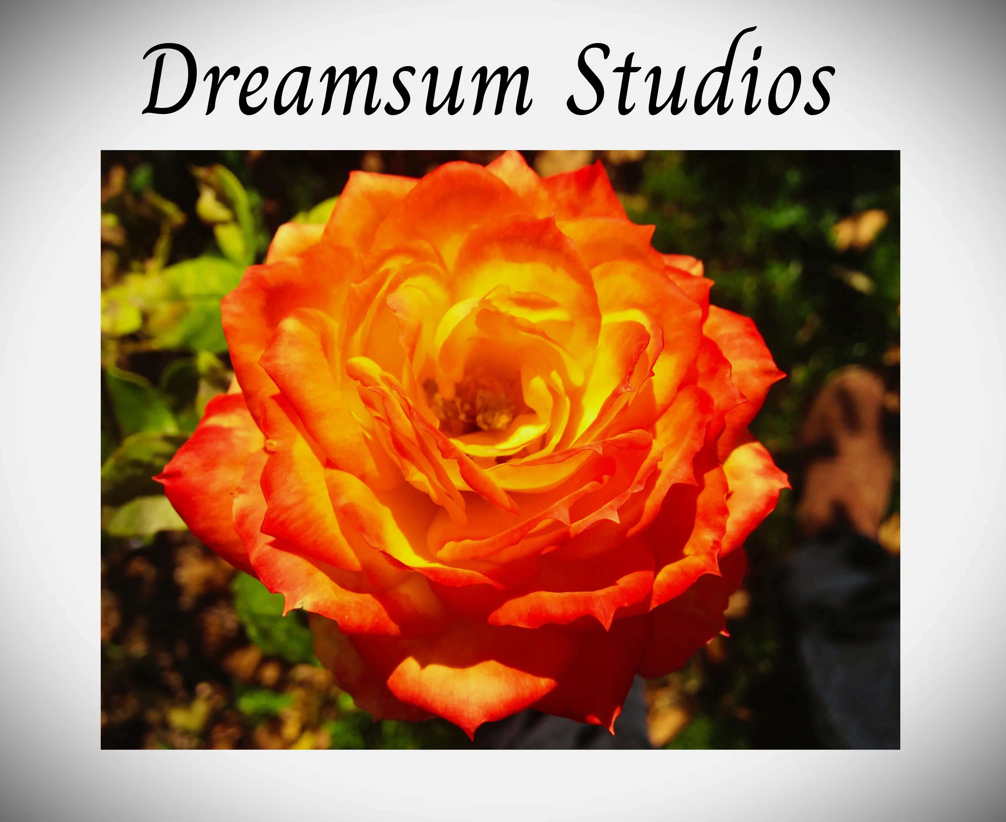 Dreamsum Studios - to inspire, inform, entertain
